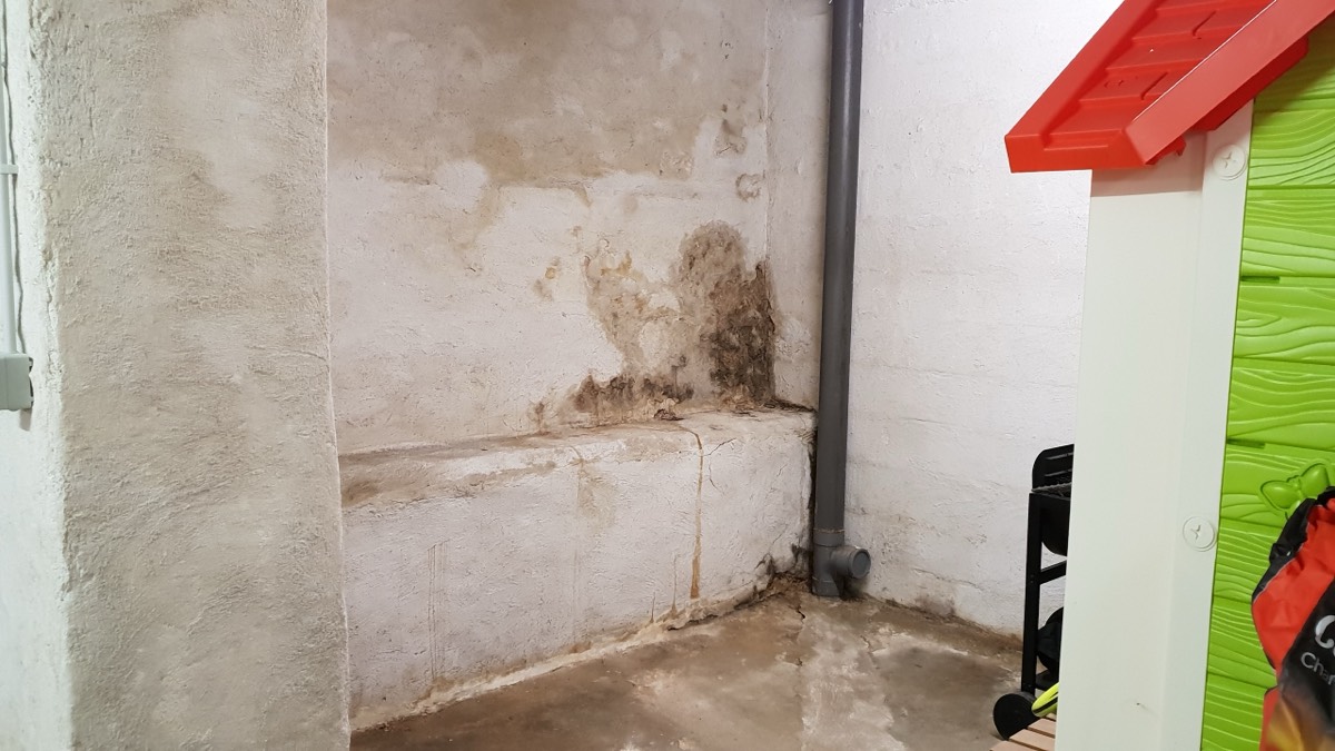 Infiltrations d'eau - Expertise humidité à Alençon